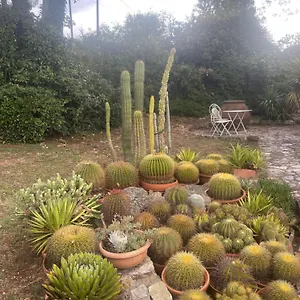 Atelier Fuori Citta , Perugia Italia